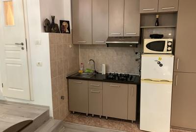 Aviatorilor/strada Popa Savu la 5 minute de Parcul Herastrau - 4