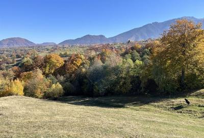 Teren 2,500mp Bran / Strada Bradul Inalt - 9