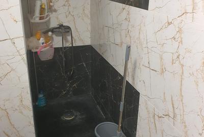 Casa P+M de vanzare zona KM 5 Constanta - 23