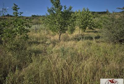 Teren Construcții intravilan de 2500 mp, în Ciugud - 3