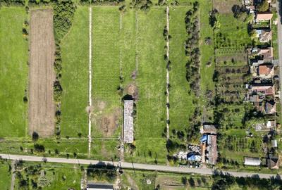 Hala de 430 mp ?i teren intravilan 2.5 ha Macea - 13