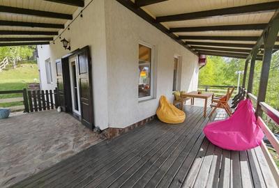 PESTERA CASA DE VANZARE - MOECIU! - 11