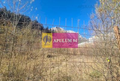 Teren intravilan de vânzare în Bușteni - Zona centrala - 3