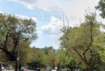 Vanzare imobil situat in zona Herastrau. Locatie deosebita pretabila pentru offi - 1