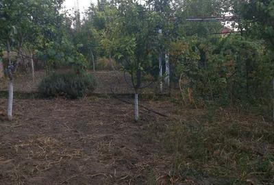 Vand casa in Satchinez - 4