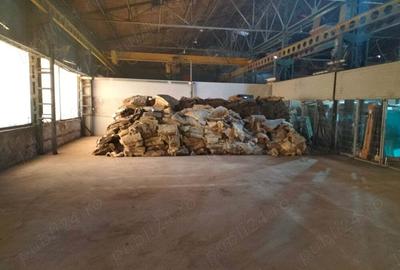 Hala industriala 800 mp,Bucium - 4