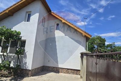 Casa de Vis la Macea - Complet Renovata si Gata de Locuit! - 21