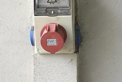 Casă cu 3 camere cu Teren 983 Mp în Peciu Nou - 3