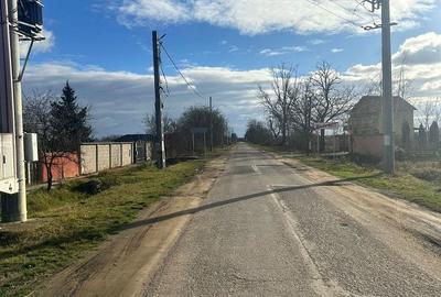 Casă cu 6 camere cu Teren 20000 Mp în Micula - 2
