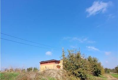 Teren Intravilan 800 mp, Constanta, zona Vila Cucoanei - 3