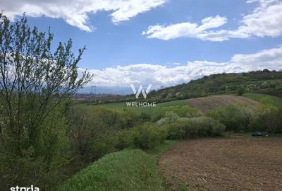 Teren de 5000 mp, în Gușterița - 2