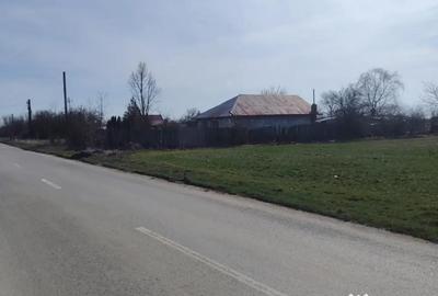 Teren de 15500 mp, în Dascălu - 5