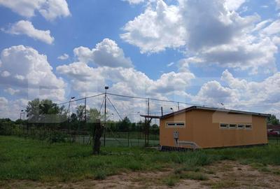 Casa superba in Tinca, 225 mp, 20 ari luciu de apa, teren fo - 15