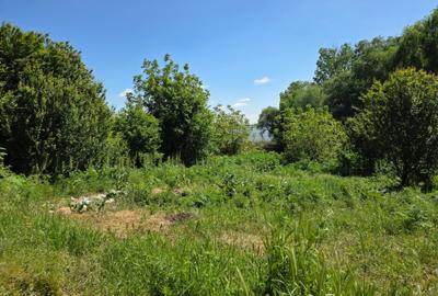 Teren de vanzare in Com.Gradistea,Ilfov, 35 km de Bucuresti - 2