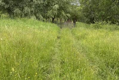 Casă cu 4 camere în Malu cu Flori - 3