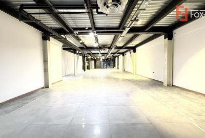 Showroom premium pe 2 nivele 560 mp, in zona Lipovei - 1