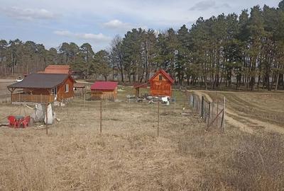 Spațiu comercial, în Reci - 3