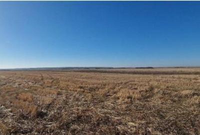 Teren Gradinari, cota 1/2. ID: R1983933 - 3