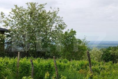 Casa individuala cu crama, teren 6700mp, Plopu - 6