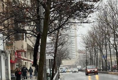 Spațiu comercial, de 150 mp, în - 2