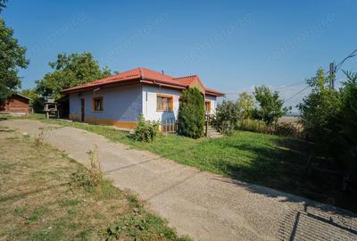 Casă cu 4 camere cu Teren 1800 Mp în Chiperești - 14