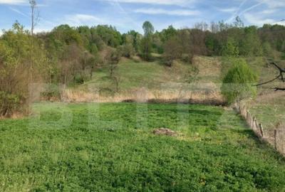 Teren intravilan/extravilan - 9