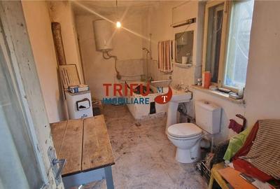 Casa de vanzare 2 camere zona Barabant - 8