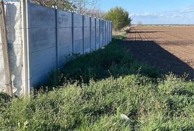 Teren de 18000 mp, în Dascălu - 5