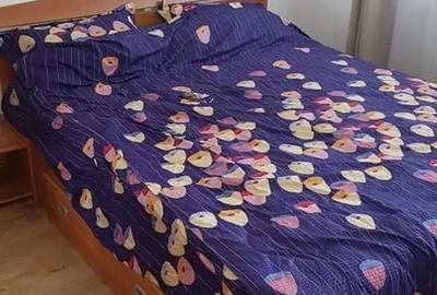 Podu Ros Palas apartament 2 camere 52 mp cu CT - 9