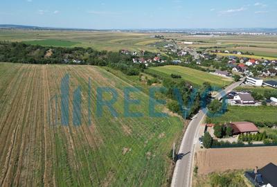 Teren de vanzare, Com. Sarata, Jud. Bacau - 7