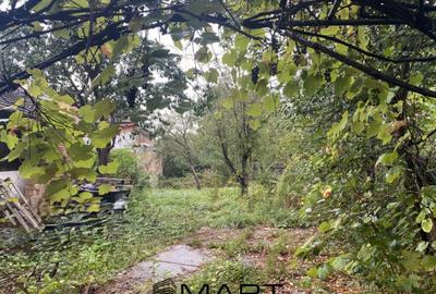 Casa 3 camere ?i gradina zona Valea Aurie - 5