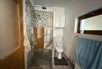 Casă individuală cu 4 camere cu Canalizare în Girocului - 18