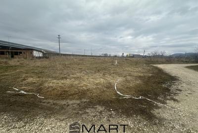 Teren Construcții intravilan de 1000 mp, în Exterior Est - 4