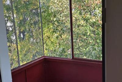 Apartament 2 camere Baraolt - 5