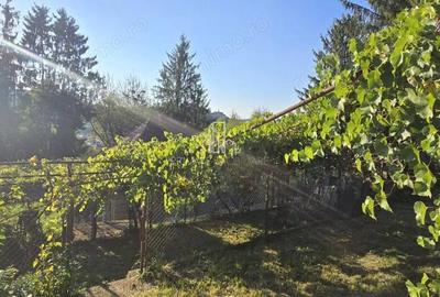 Casă cu 2 camere cu Teren 1190 Mp în Central - 4