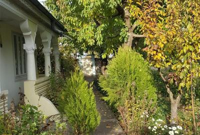 Casă cu Teren 1925 Mp în Gara Berheci - 7
