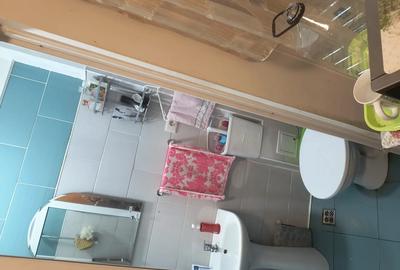 Garsoniera luminoasa, situata in zona Piata Traian - 2