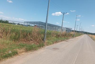 Teren Intravilan Buftea langa Autostrada A0 ideal pentru hale industriale - 5