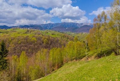 Teren de poveste, intru un sat de poveste Pestera/Moeciu/Brasov - 2