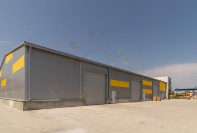 Inchiriere hala noua zona Bascov la DN 7C - 12