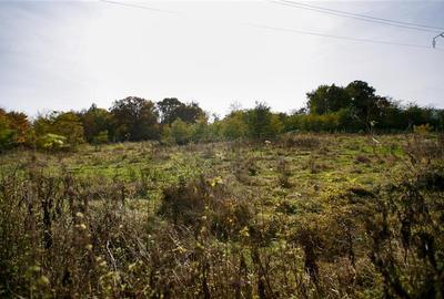 Teren Construcții intravilan de 64000 mp, în Cil - 3