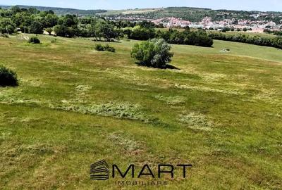 Teren extravilan 400mp Cisnadie