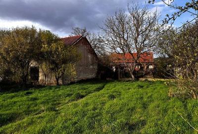 Casa cu curte ?i gradina - 2200mp - 3