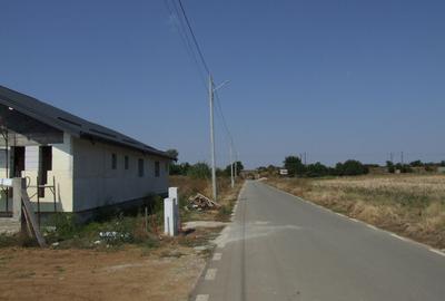 Domnesti-Salciei-stradal - 6