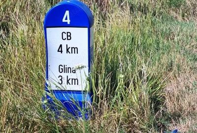 Vanzare Teren intravilan 10000mp Balaceanca - 18