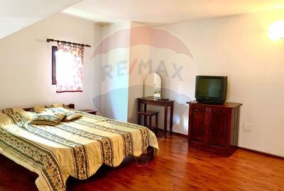 Hotel/Pensiune, de 659 mp, în Bulz - 12