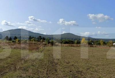 Teren de 4900 mp, în Central