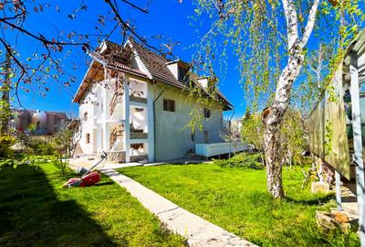 Vila Trivale Pitesti - 13