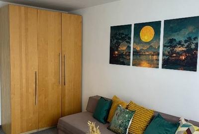 Apartament 1 camera- Spitalul Municipal Timisoara- de inchiriat - 3