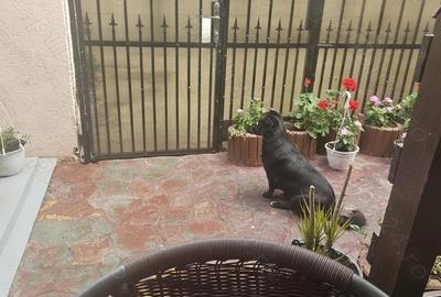 Casă cu 3 camere în Central - 3